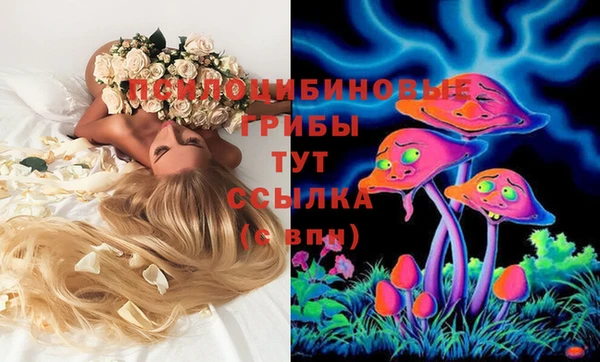 метамфетамин Нязепетровск