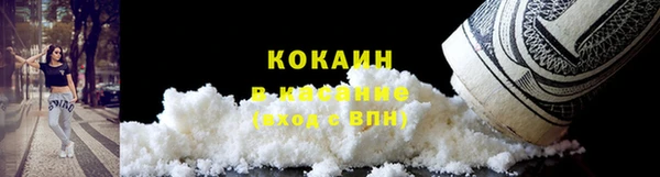 крисы Няндома