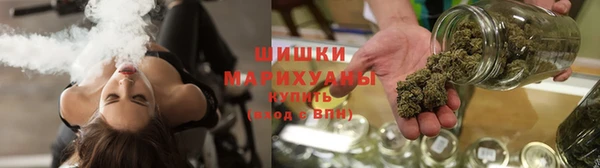 крисы Няндома