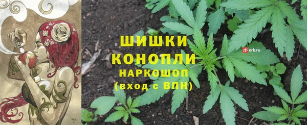 крисы Няндома