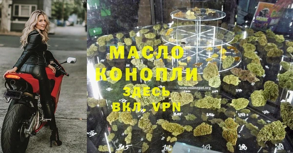 крисы Няндома