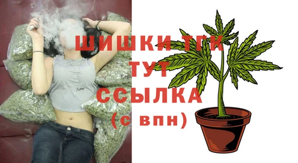 крисы Няндома