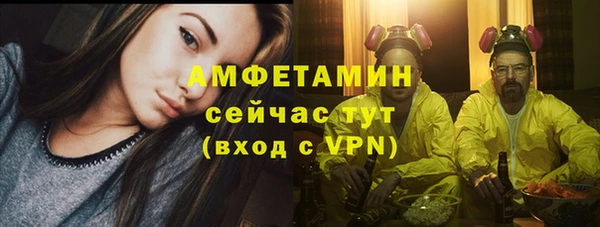 крисы Няндома