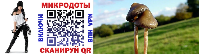Купить  Добрянка  Псилоцибиновые грибы мицелий 